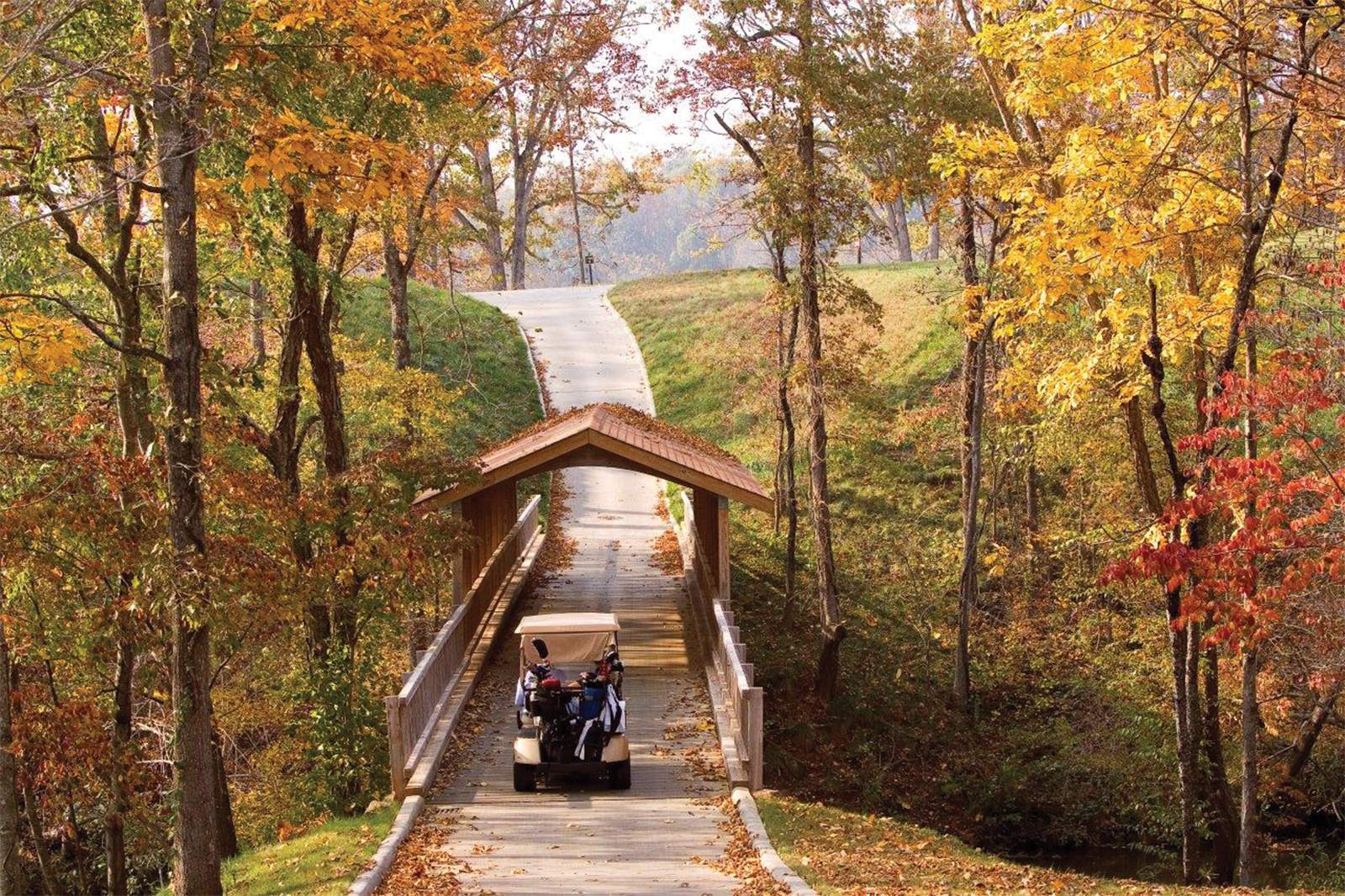 GOLFCovered-Bridge_Autumn